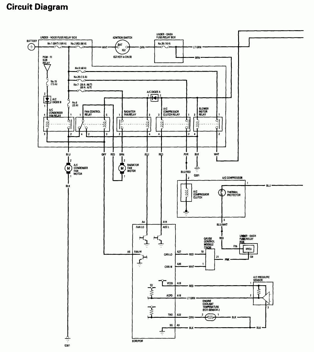 2006 Honda Civic Wiring Diagram Herbalard