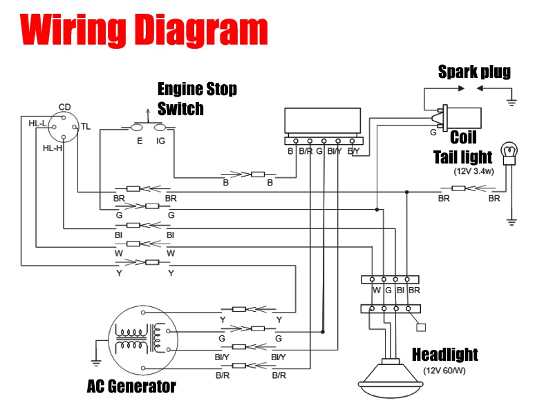 Auto Electrical Diagram Wiring Diagram Car Anatomy