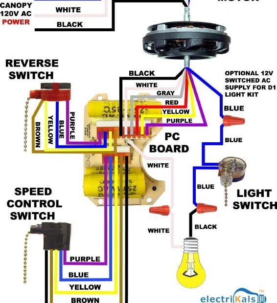Celing Fan Wiring Diagram