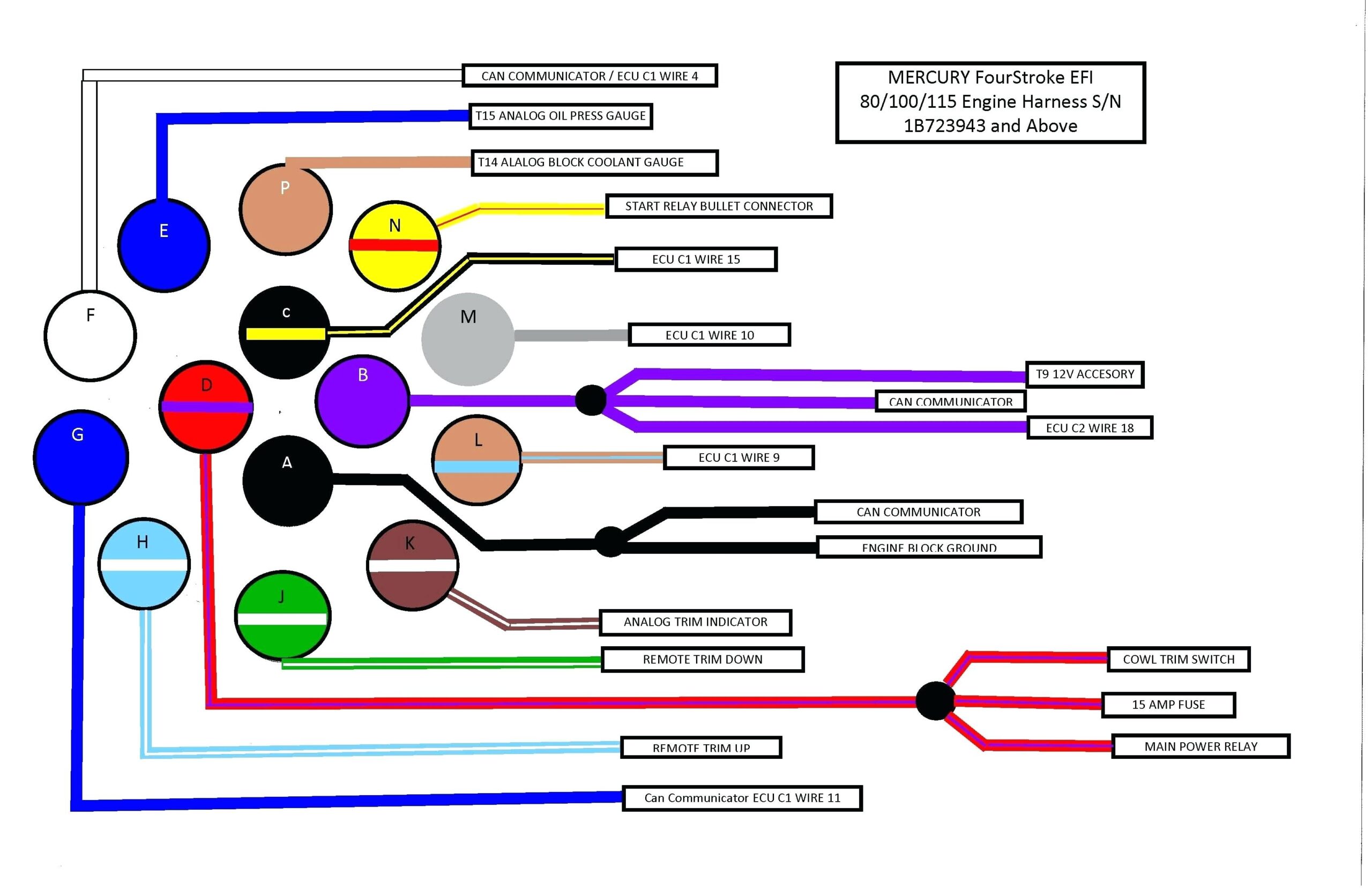  DIAGRAM Suzuki Outboard Wiring Harness Diagram MYDIAGRAM ONLINE