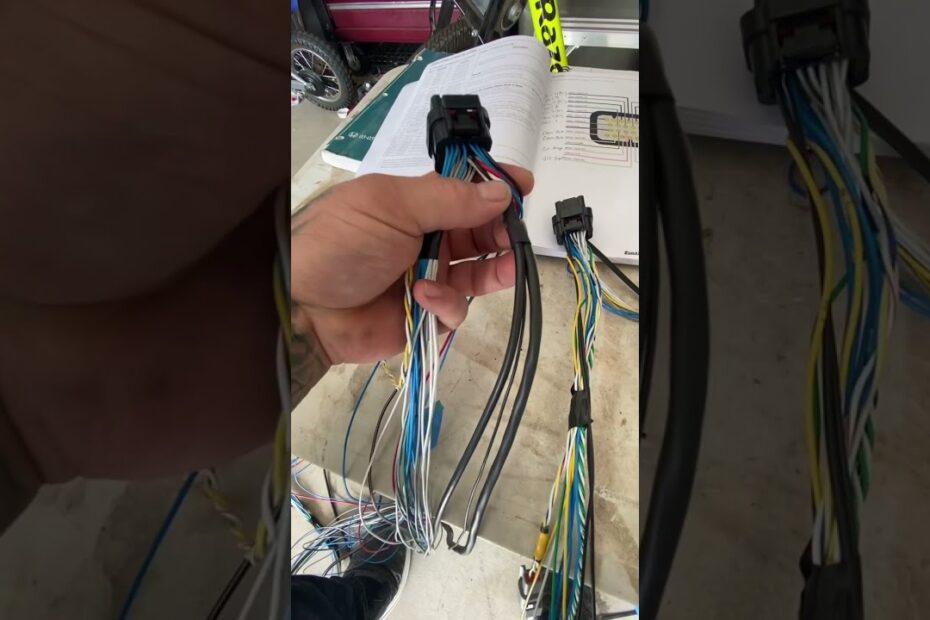 Fueltech Ft550 Wiring Diagram KylenLarisah