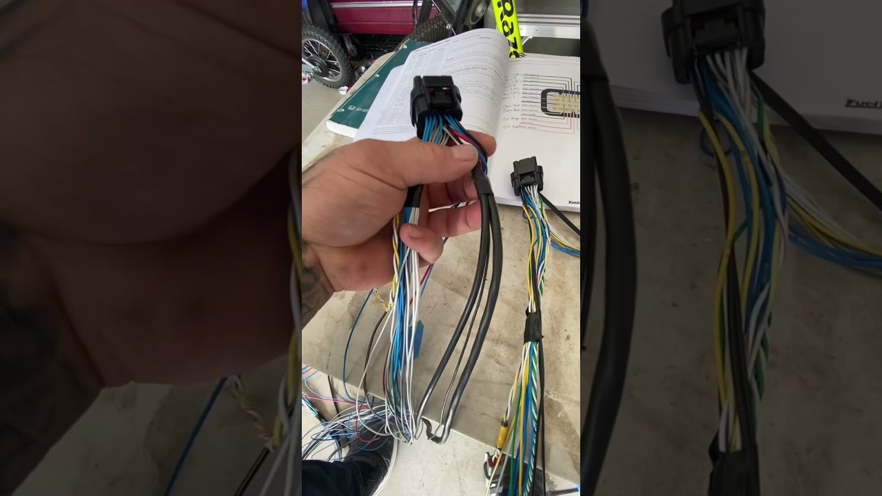 Fueltech Ft550 Wiring Diagram KylenLarisah