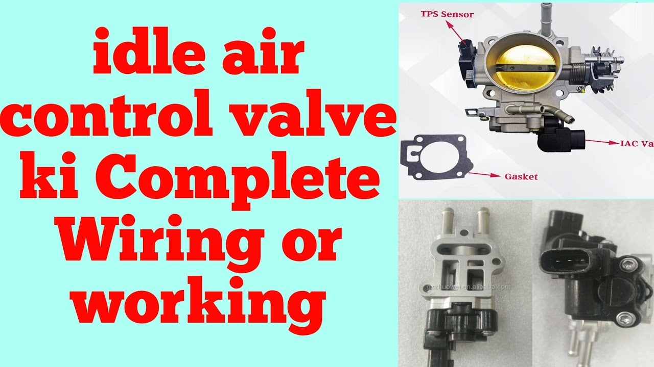 Gm Idle Air Control Valve Wiring Diagram Solved How Do I Pe