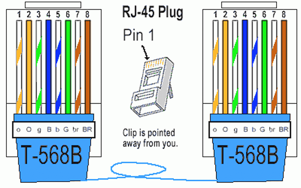 Great Ethernet Cable Wiring Diagram How To Make An Network With 