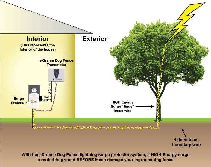 Step by Step Guide Wiring Diagram For Extreme Dog Fence Installation