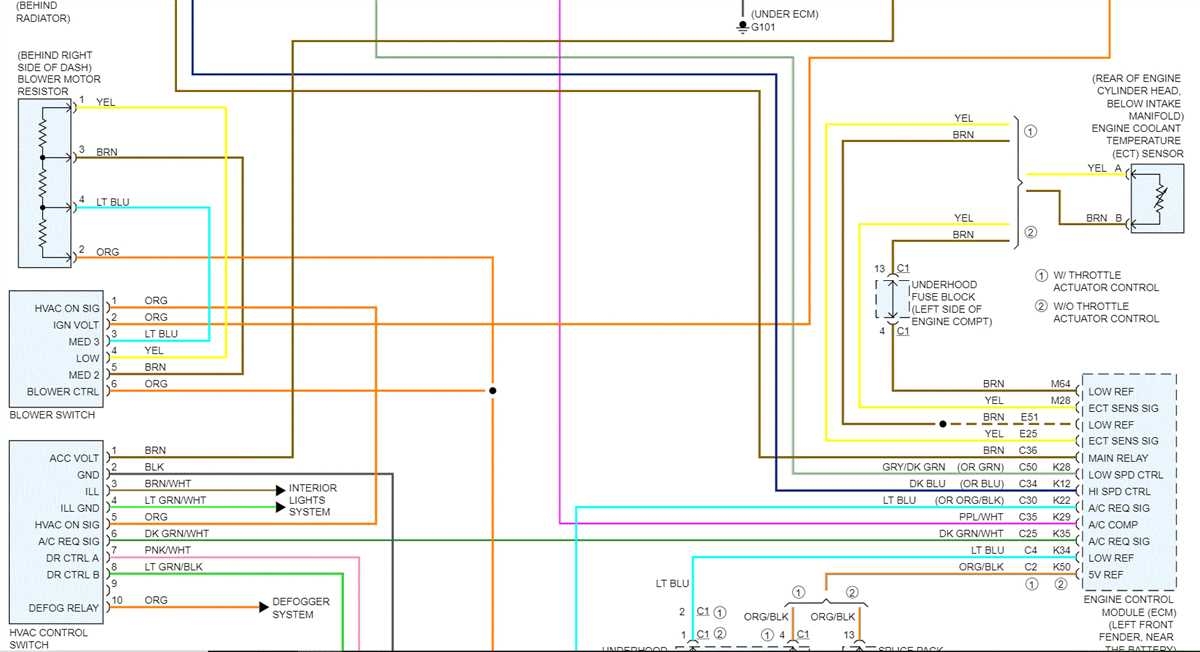 The Ultimate Guide To Understanding Freightliner ECM Wiring Harness Diagram